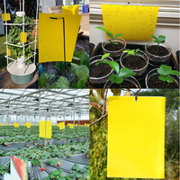 Pièges collants tendance pour le jardinage, autocollants jaunes double face anti-insectes, propres et inodores, indispensables pour la lutte antiparasitaire domestique
