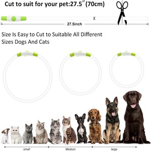 2024 nuevo Color RGB impermeable iluminar LED <span class=keywords><strong>Collar</strong></span> de perro mascota USB recargable <span class=keywords><strong>TPU</strong></span> brillo Color DE SEGURIDAD Led <span class=keywords><strong>Collar</strong></span> - Product Image 5