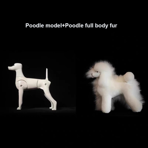 מודל כלב עבור טיפוח חיות מחמד תרגול פאה עם מודל גולגולת כלב מנקין - Product Image 4