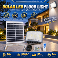 Projecteur solaire LED de haute qualité, lampe solaire 100W 200W 300W 400W, boîtier en aluminium, projecteurs solaires avec indicateur