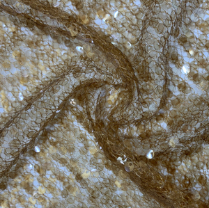 Popular Vestido Semitransparente con Lentejuelas y Bordado de Malla Color Granate para Niñas y Niños, Técnica de Tejido Liso, Ideal para Bodas - Product Image 5