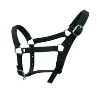 Bridon d'équitation personnalisé pour courses de chevaux, sangle en PP et licol en cuir