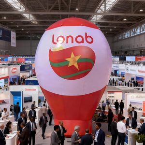 Ballon à <span class=keywords><strong>air</strong></span> chaud gonflable en PVC Oxford avec logo personnalisé, globe à neige, résistant aux UV, imperméable, pompe électrique à courant alternatif, publicité - Product Image 4