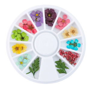 Coffret de fleurs séchées 3D stéréo pour la décoration des ongles, <span class=keywords><strong>gel</strong></span> UV, pétales de plantes réelles, accessoires pour ongles - Product Image 1