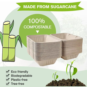 Bolsas de Bagazo Biodegradables y Reciclables para Alimentos, con 3 Divisiones, para Hamburguesas, Comida para Llevar, Apto para Microondas, Venta al Por Mayor - Product Image 4