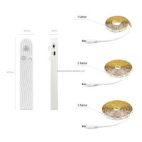 Bande lumineuse LED intelligente à détecteur de mouvement corporel, étanche à l'époxy, alimentation double (USB et batterie), pour armoire, sous lit