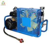 Compresseur d'air portable 100L pour lutte contre les incendies, 30 bars, prix direct fabricant, compresseur d'air mobile pour SCBA, vente en gros