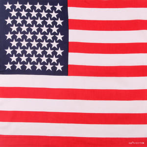 Drapeau promotionnel Haïti Amérique Bandana <span class=keywords><strong>56</strong></span>*56cm tête carrée tous pays drapeau Bandana écharpe Bandana entièrement imprimé - Product Image 4