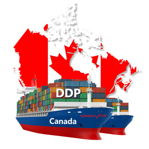 Envío marítimo DDP rentable | Logística puerta a puerta | Mercado de <span class=keywords><strong>China</strong></span> a Canadá - Product Image 1