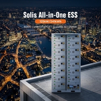 Système de stockage d'énergie hybride personnalisé avec onduleur Solis 125 kW et batterie LiFePO4 241 kWh pour usine