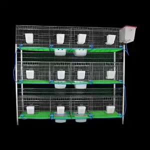 New Design Modern industrial commercial farming House Automatic Galvanized pipe rabbit cage