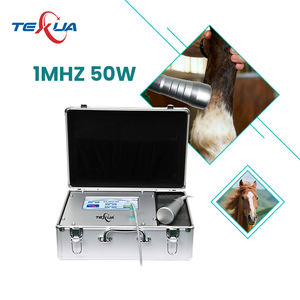 Ultrasonido Fisioterapia Physique Ultrawave Machine de Thérapie Professionnelle Soulagement de la Douleur pour le Traitement Canin Équin AC 110-220V - Product Image 1