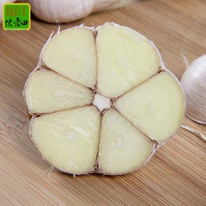 Bawang Putih Kating กระเทียมสด Cangshan 4 6กลีบกระเทียมที่มีคุณภาพสูงขายส่ง Bawang Putih Kating - Product Image 2