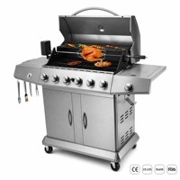 Parrilla de Gas de Acero Inoxidable al por Mayor, 6 Quemadores, Asador para Exteriores, Logotipo Personalizado OEM de Fábrica