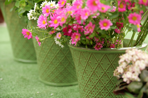 Pot en céramique élégant et luxueux, écologique, avec trou de drainage, respirant, anti-moisissure, pour un design moderne, maison haut de gamme - Product Image 5