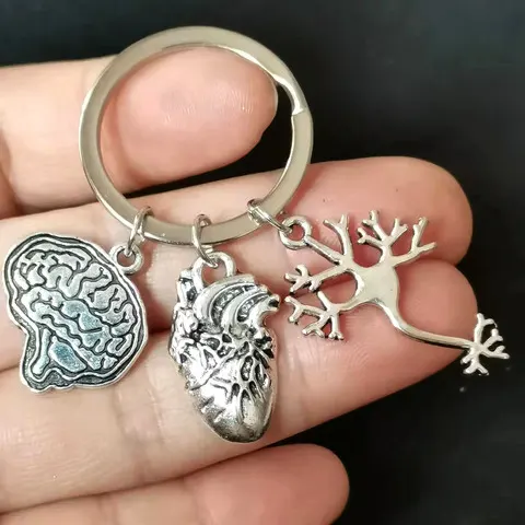 Y Tế Giải Phẫu Key Não Tim Tế bào Thần kinh Hình Keychain Bác Sĩ Và Y Tá Túi Chuỗi Đồ Trang Sức Quà Tặng