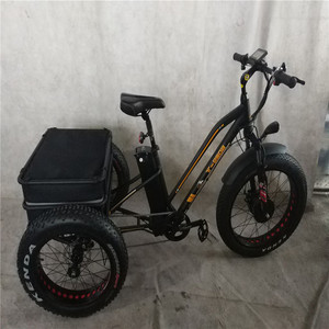 En Stock Triciclo Eléctrico <span class=keywords><strong>de</strong></span> Neumáticos Anchos <span class=keywords><strong>de</strong></span> 20/24 Pulgadas, 750W, <span class=keywords><strong>para</strong></span> Adultos, con Cesta Trasera y <span class=keywords><strong>Caja</strong></span> <span class=keywords><strong>de</strong></span> <span class=keywords><strong>Carga</strong></span> <span class=keywords><strong>para</strong></span> Entregas y Actividades al Aire Libre - Product Image 3