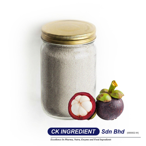 Polvo de Jugo de Mangostán Natural, Extracto de Superalimento Tropical, Base para Bebidas, Alimento Saludable para Comidas Diarias, Soporte OEM ODM - Product Image 2