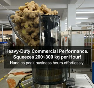 เครื่องคั้นน้ำผักและผลไม้แบบสกัดเย็น 750 วัตต์ สำหรับงานหนัก รุ่นคั้นช้า เหมาะสำหรับโรงแรม - Product Image 4