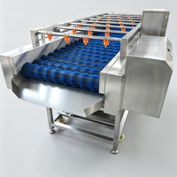 Commerciële 304 roestvrijstalen borstelwasmachine Automatische fruit- en groentewasmachine voor aardappel, wortel, appel, citrusvruchten