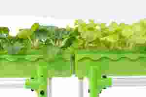 Kit de Agricultura de invernadero de acuaponia hidropónica avanzada, macetas duraderas para interiores y exteriores, verduras, hierbas, flores, Ag sostenible - Product Image 5