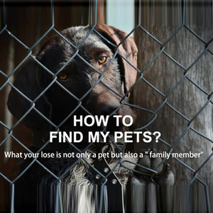 <span class=keywords><strong>2025</strong></span> Mới Nhất Mini Định Vị Toàn Cầu Hệ Thống Thông Minh Chống Mất Thiết Bị Chống Thấm Nước Định Vị Hỗ Trợ Cuộc Gọi Bằng Giọng Nói - Product Image 5