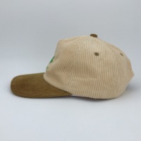 Gorro de algodón de perfil bajo de 5 paneles directo de fábrica, gorra Snapback de papá de dos tonos con bordado 3D para hombres y mujeres, modelo ODM de ala plana