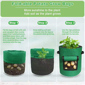 Fournitures de jardin, <span class=keywords><strong>pot</strong></span> de culture de bleuets de 4/7/10 gallons, pots de culture de plantes colorés pour enfants, jardin - Product Image 5