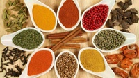 Hilda — poudre de piment rouge, épices mélangées, sac jaune, flocons Jalapeno, 25g, options GVerdi