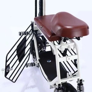 Vélo électrique pliable Light City, vélo électrique longue portée pour la famille et les animaux domestiques, batterie au lithium - Product Image 5