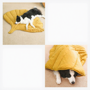 Tappetino Rinfrescante Pieghevole a Forma di Foglia <span class=keywords><strong>per</strong></span> Animali Domestici, Cuccia <span class=keywords><strong>per</strong></span> <span class=keywords><strong>Cani</strong></span> e Gatti, Coperta <span class=keywords><strong>per</strong></span> Animali, Tappeto - Ingrosso dal Produttore - Product Image 2