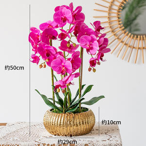 Nouveau style luxe 3D toucher réel phalaenopsis fleur artificielle or en pot <span class=keywords><strong>Dendrobium</strong></span> plante <span class=keywords><strong>Orchidée</strong></span> artificielle en pot - Product Image 5