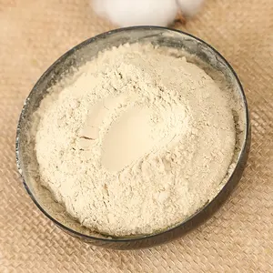 Fabricante profissional Pure Natural Organic <span class=keywords><strong>Shiitake</strong></span> Mushroom <span class=keywords><strong>Powder</strong></span> Econômico Original Sabor Tempero Tempero Spice - Product Image 1