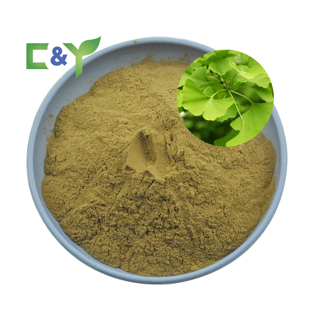 ISO factory supply ginkgo biloba leaves ginkgo biloba powder ginkgo biloba leaf extract