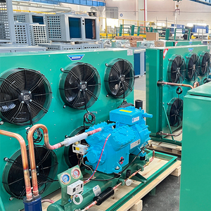 H-tipo unità di condensazione raffreddata ad aria con compressore Semi-ermetico Bitzer/Copeland/Frascold per il sistema di cella frigorifera - Product Image 5