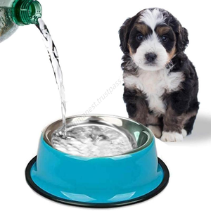 Venta al por Mayor de Tazones Portátiles Multicolores Antideslizantes de Acero Inoxidable para Perros, Redondos, de 200 ml, con Dispensador Automático de Agua para Perros Pequeños y Grandes - Product Image 3