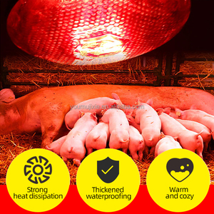 Lampada riscaldante addensata a infrarossi lampadina da allevamento 100W/150W/200W/250W boccaporto per animali domestici pollo maiale animali infrarossi - Product Image 5