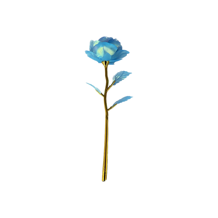 Bleu (Macron)