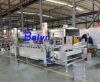 Baiyu Automatische Broccoli- en Ui-blancheringsmachine voor diepvriesgroenteproductielijn met hoge efficiëntie