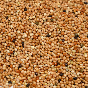 Nourriture pour oiseaux au millet mélangé cinq couleurs, 500g, pour petits et moyens perroquets, perruches, calopsittes, oiseaux pivoines - Product Image 2