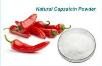 Poudre d'extrait de piment capsicum naturel de haute qualité CAS 404-86-4 Poudre de capsicum