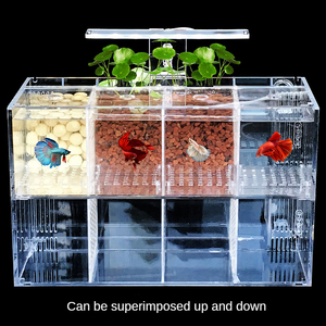 Acuario de Lujo para Barra - Pecera de Vidrio Personalizada para Uso Comercial/Doméstico, Moderna Vitrina de Agua - Product Image 4