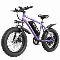 Kit de Conversión para Bicicleta Eléctrica, Llanta Gruesa de 20-26 Pulgadas, 4.0, Motor Trasero de Aleación de Aluminio de 72V 1000W-3000W-5000W