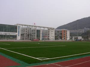 AVG 50MM DM400 13200Dtex HAUTE QUALITÉ FOOTBALL GRASS <span class=keywords><strong>GAZON</strong></span> DE FOOTBALL - Product Image 4