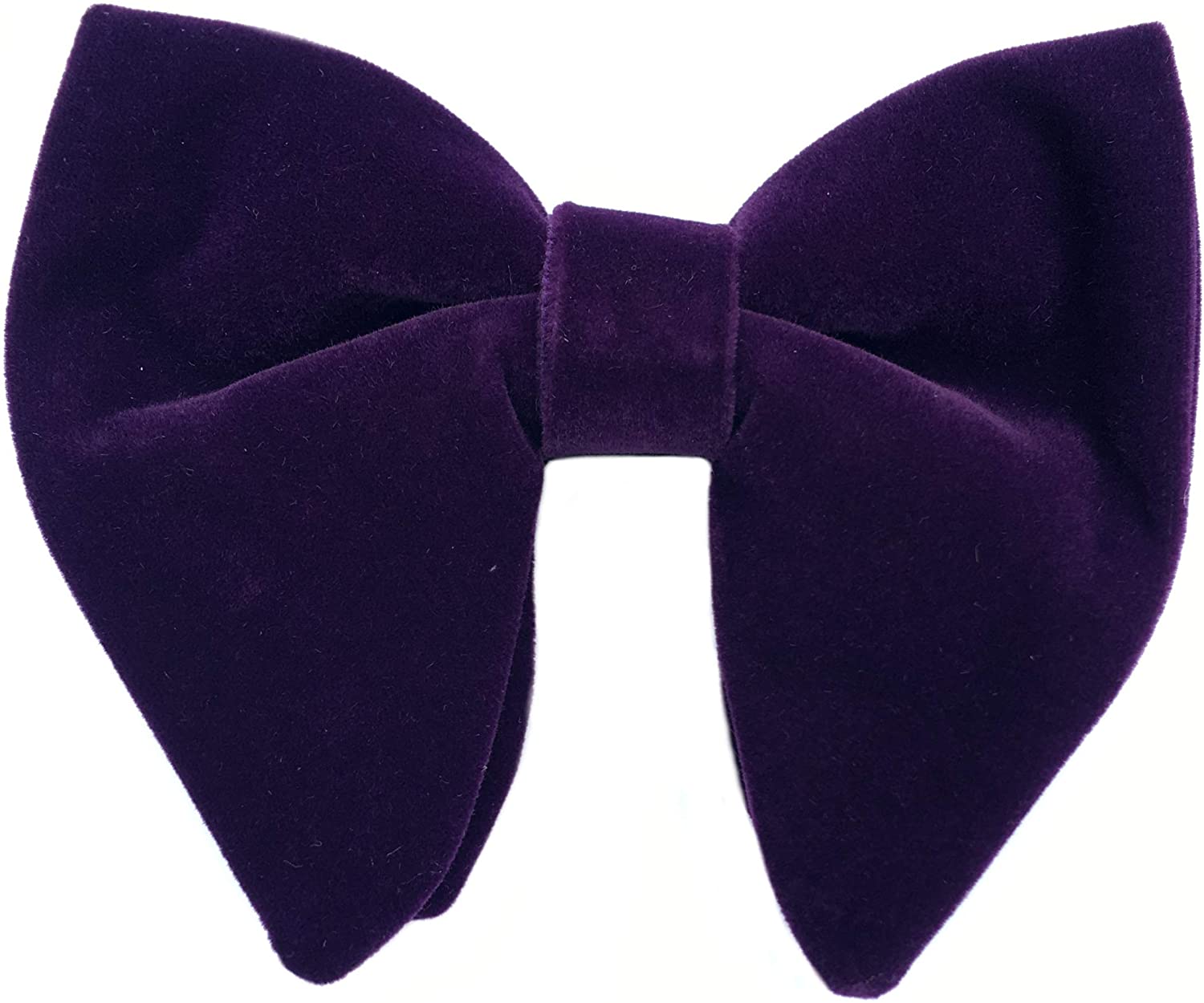 Pourpre