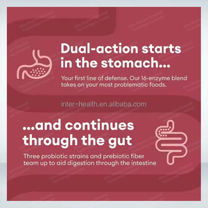 <span class=keywords><strong>OEM</strong></span> Hızlı Özel Etiketli Yetişkin Sindirim Enzimleri Organik Prebiyotikler Probiyotikler Çoklu Enzimler Bağırsak Sağlığını Destekleyen 60 - Product Image 2