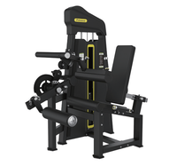 Machine à flexions et extensions des jambes double haut de gamme, personnalisable ODM/OEM, pour usage commercial en salle de sport