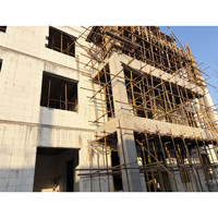 Nouveau matériau écologique en polystyrène expansé (EPS) de 250 mm, blocs de coffrage isolés en béton (ICF), panneaux de coffrage modernes pour la construction