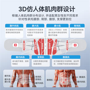 Ceinture de soutien lombaire Wellday WP01E, grande taille, de qualité médicale, pour hernie discale lombaire, unisexe - Product Image 2