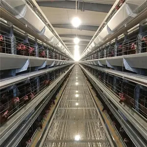 2020 China farm Supply Completely Automatic Laying Hen/Egg Layer Battery H Type Chicken Cages System